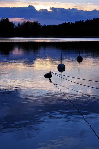 blue sunset evening buoy gålö