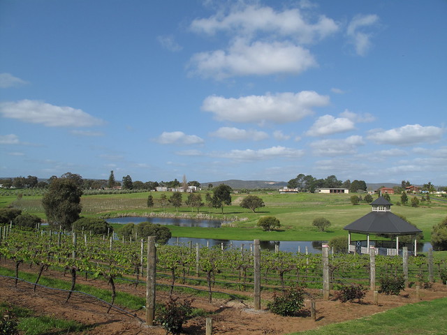 The view from Sitella, Swan Valley