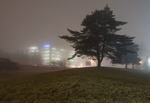 tree weather fog night traffic marylandheights edwardjones achallengeforyou