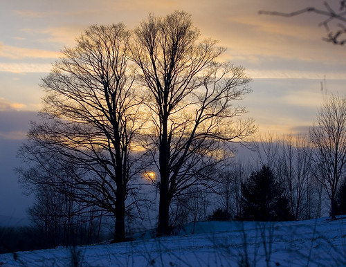 winter sunset sky snow tree nature field landscape vermont