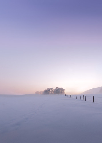 uk trees winter white mist snow fog fence geotagged scotland glow unitedkingdom united violet atmosphere kingdom 2010 gbr dolphinton geo:lon=343685389 markpaulandrews geo:lat=5570598229