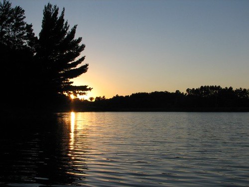 sunset lake tree pine river