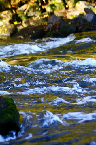 rivière quimperlé arzano ellé ellévivante
