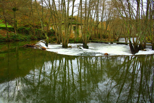 wood españa color colour tree mill rio reflections river arbol molino galicia bosque reflejos ourense xunqueira 2009xunqueiradeambía