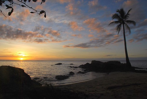morning sea beach sunrise jan palm papuanewguinea tufi hasselberg colorphotoaward janhasselberg kofure