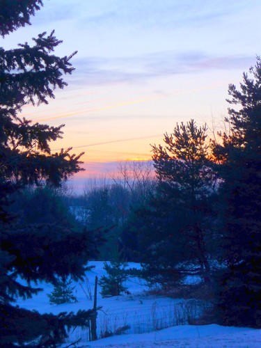 pink trees winter snow cold west clouds sunrise dawn belmont michigan january clear