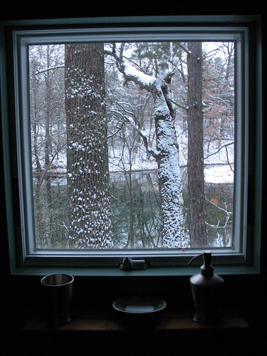 trees winter snow building window mi geotagged bathroom soap pond cabin view sink michigan lawton tamaracksprings dwwg