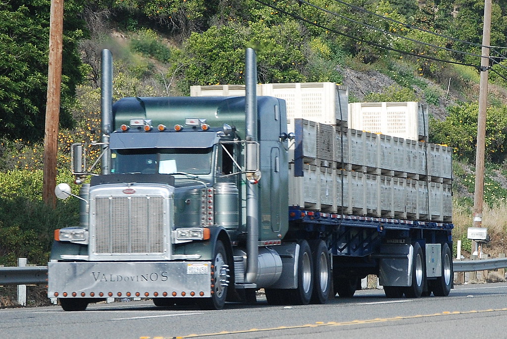 PETERBILT BIG RIG FLATBED TRUCK  18  WHEELER  a photo on 