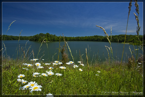 lake pond wideangle wildflowers prairie hdr caesarcreek