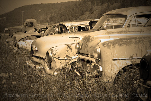 old canada cars graveyard field sepia vintage britishcolumbia autos harrogate vignette relics vauxhall wyvern