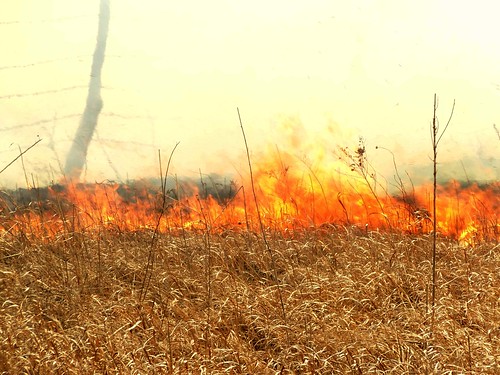 fire burn kansas prairie grassfire