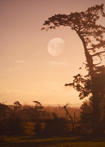 sunset newzealand moon field rural landscape nikon waikato tiraudan paddock piako