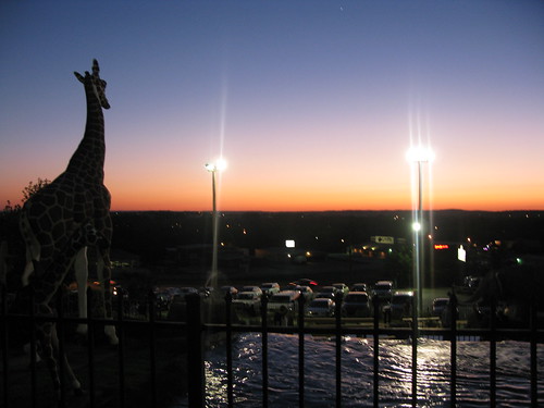sunset funny unitedstates minigolf arkansas giraffe 365 fayetteville deepthought project365 eyefi 127365