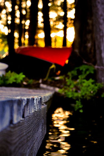 wood camping sunset red lake ontario canada colour tree nature rock forest 50mm nikon focus bokeh cottage canoe muskoka 50 d90