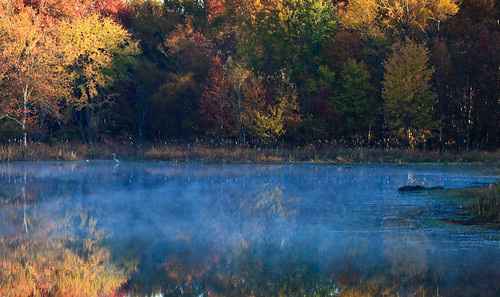 morning mist lake fall colors sunrise firstlight lakebenson photocontestfall10