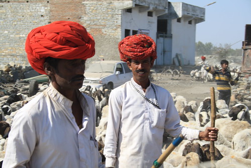 red people india turban rajasthan chittorgarh