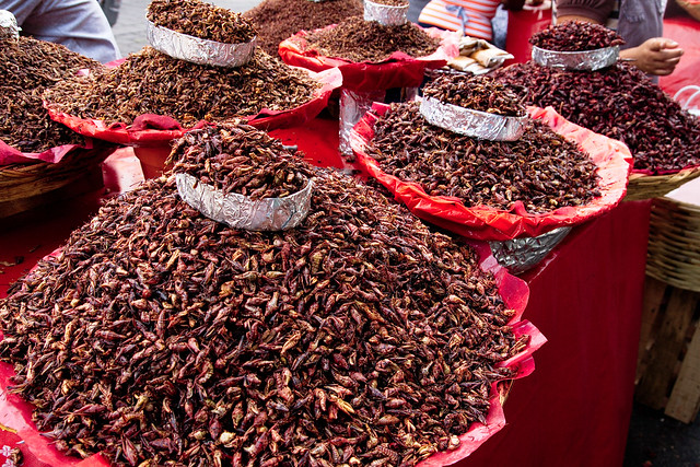 Exploring the Market in Oaxaca - Photo Credit: William Neuheisel (william.neuheisel) via Flickr, Used unmodified under CC BY 2.0 license