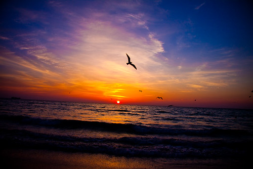 ocean sky beach sunrise sand personal florida sunday your shore miamibeach sobe skytheme