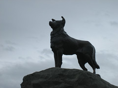 Collie Dog Statue at Lake Tekapo