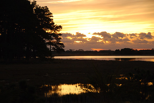sunset grass sunrise marsh waterfowl habitat geotag assateague sonygpscs3ka chincoteagueassateagueisland