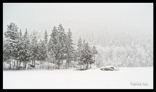 snowflake trees winter lake snow canada storm cold tree nature forest landscape nikon frost quebec hiver snowstorm lac arbres québec neige paysage arbre blanc froid forêt givre tempête flocon iamcanadian d90 flocondeneige nikond90 karinecou xkine