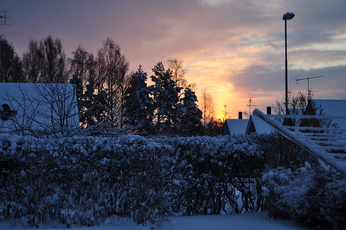 winter cold sunrise sweden karlstad 2010 värmland