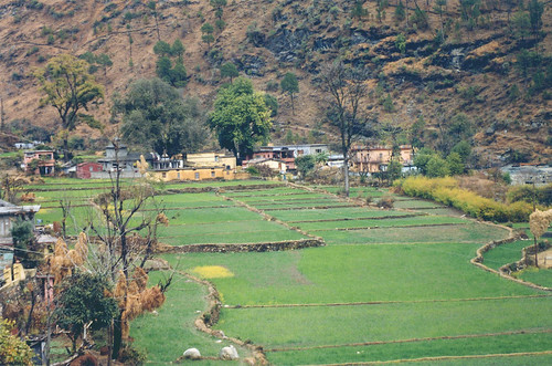 houses india ilp fields february2003 uttarkashi uttarakhand theindiatree worldtrekker