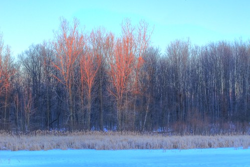 winter snow color ice sunrise scott michigan reflect hdr wintersunrise smithson detroitmetro maybury michiganstatepark mayburystatepark mayburypond dtwpuck scottsmithson scottelliottsmithson