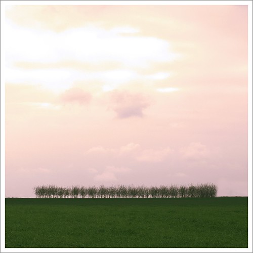 trees sunset sky cold green primavera clouds lawn line minimalism springtime paulmezzer theauthorsplaza authorsclub