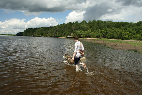 dog water sarah river wisconsinriver
