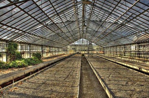 abandoned wisconsin nikon brookfield garedunord greenhouses hdr d90