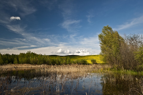 blue sky lake tree green grass yellow clouds landscape spring nikon d5000
