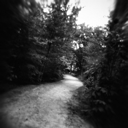 trees light summer blackandwhite bw white black blur 120 film nature contrast analog square landscape grey nc holga view angle path echo gray perspective scenic northcarolina raleigh trail duotone meander curve vignette crooked prompt chrysti yatesmill christyhydeck