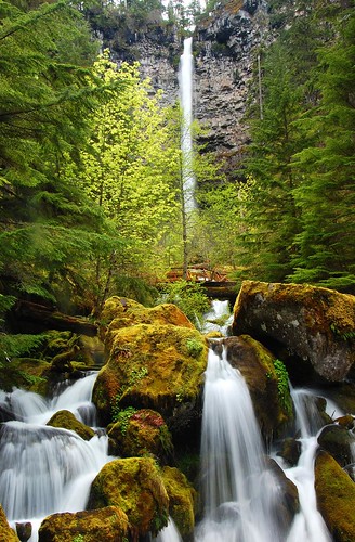 oregon waterfall watsonfalls umpquanationalforest