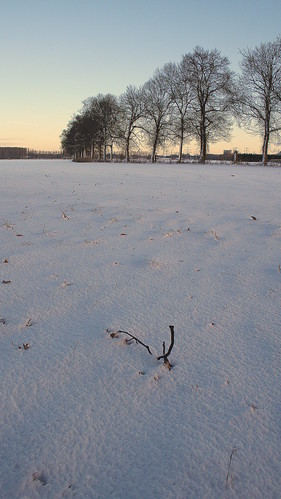 schnee winter snow netherlands sunrise sneeuw nederland horn sonnenaufgang limburg niederlande zonsopgang zonsopkomst