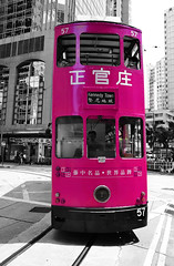Pink Tram