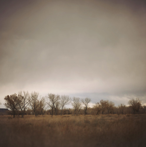 trees newmexico landscape cloudysky faketiltshift vintagewine talkaboutthepassion d700 3652010 2010yip frommystaycation oldschoolrem