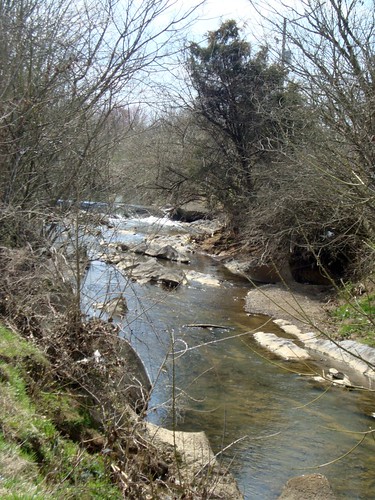 trees water creek rocks greenway mousecreek clevelandtn bradleycounty