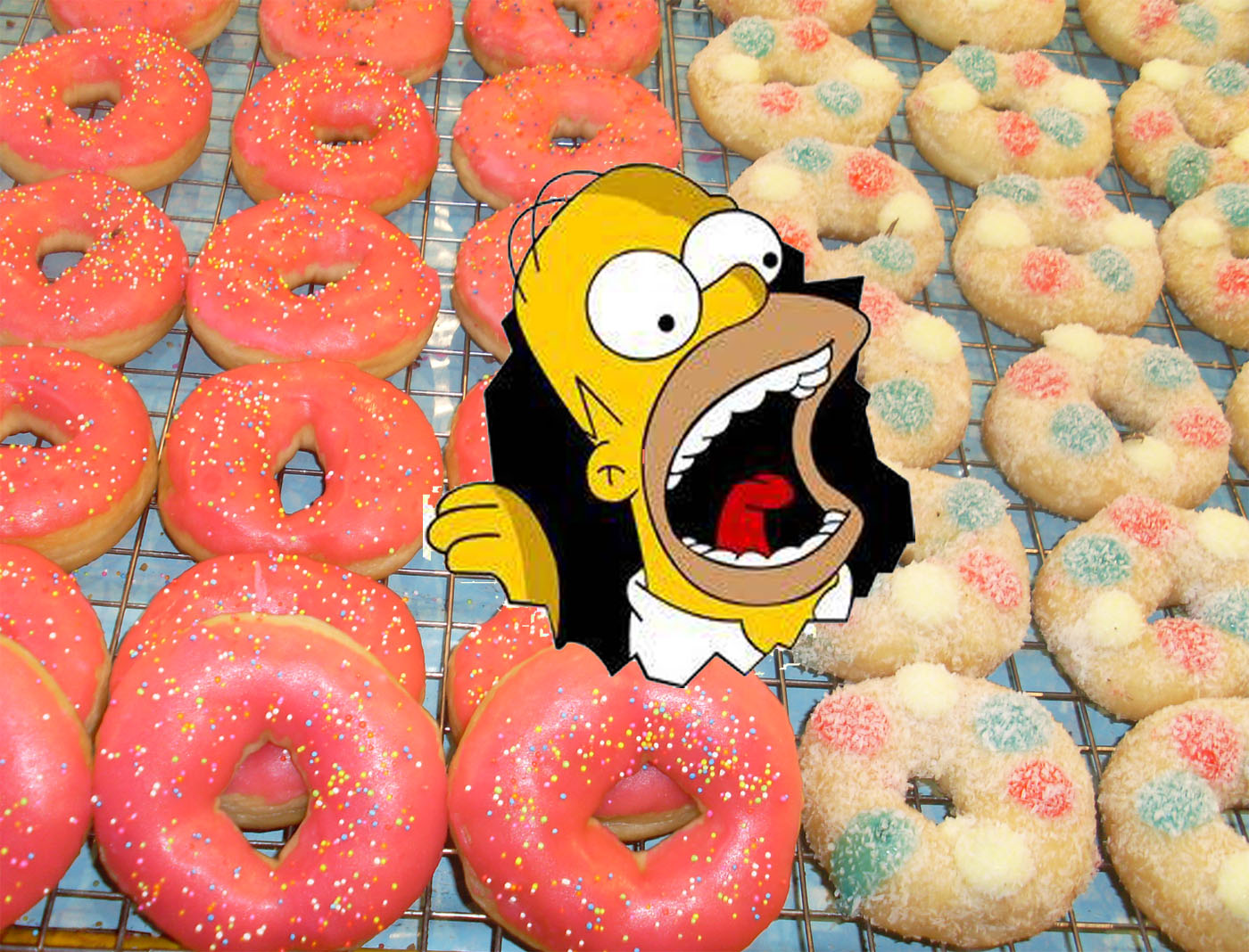 homer donuts