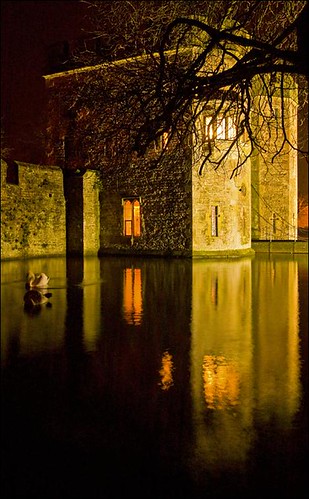 england night wells somerset illuminated swans moat christmaseve