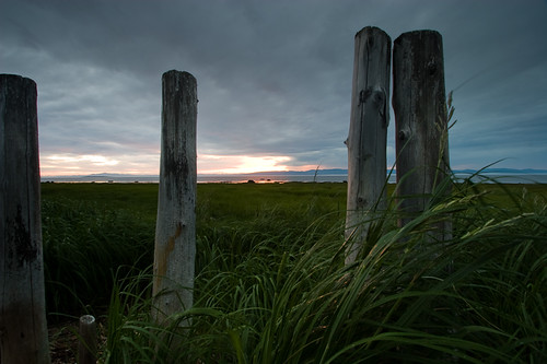 sunset sky plants nature ecology grass horizontal architecture fence landscape scenery skies landscaping structures architectural land environment environmentalism tallgrass foreshore ecosystem picketfence horizontals