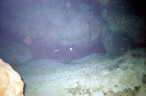 florida diving springs