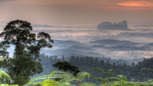 trees fog sunrise foliage malaysia hdr kuantan pahang 5exp sungailembing bukitpanorama