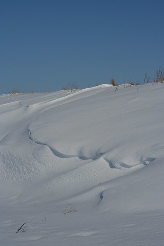 winter snow nature denmark 2010
