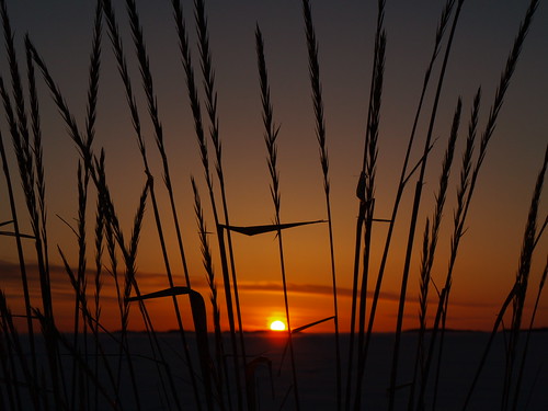 winter sunset sun suomi finland evening hanko hangö terrascania