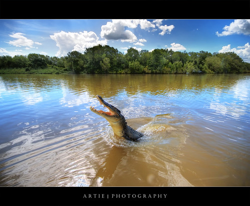 nature water animal photoshop canon cs2 nt australia wideangle darwin crocodile handheld 1020mm creature muddy hdr northernterritory artie adelaideriver sigmalens photomatix tonemapping tonemap 1xp 400d rebelxti