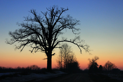 wood blue trees winter sunset red sky orange black color tree nature silhouette yellow spectrum michigan country barns
