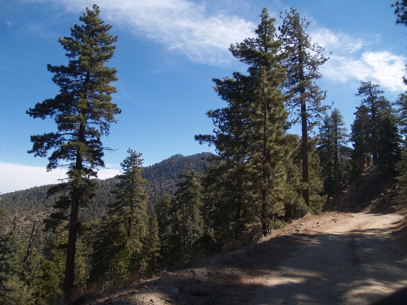 On the road to Toro Peak, with the twin (two-horned) summit in view
