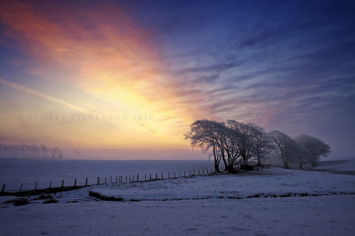 morning winter light sky mist snow colour tree ice fog sunrise fence landscape dawn scotland early frost finally snowscape borrowedcamera clydevalley pleaseviewlarge minus8 ©stuartstevenson ahalfdecentpictureafterweeksoftrying mightyrelieved