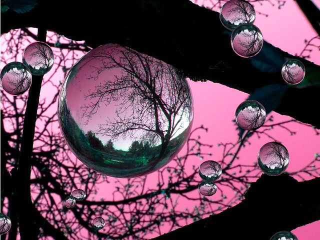 the tree with the pink balls